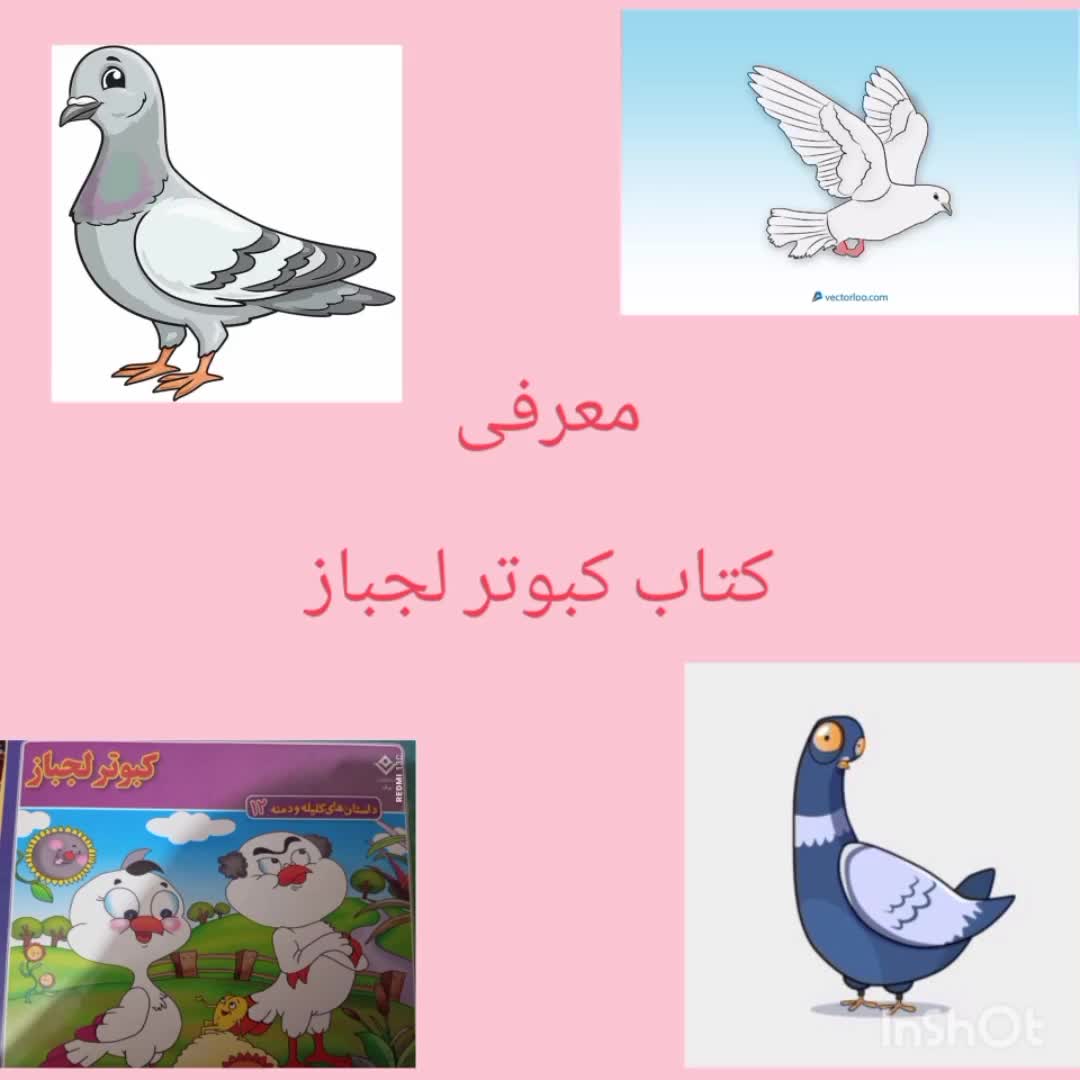 معرفی کتاب کبوتر لجباز