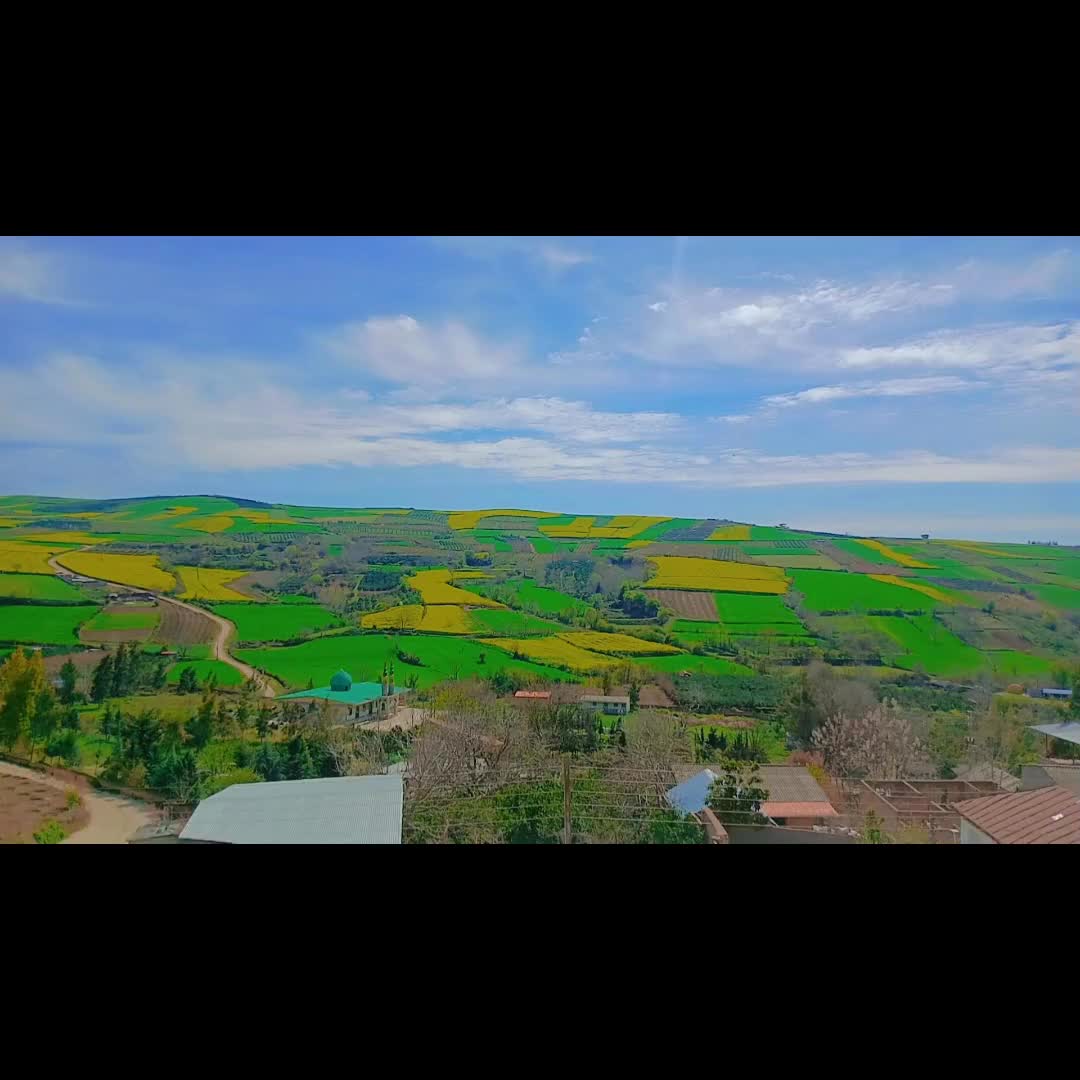 نون عشق و هنر مازندرانی  🍞 ✨️