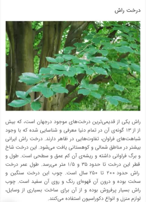 طبیعت
