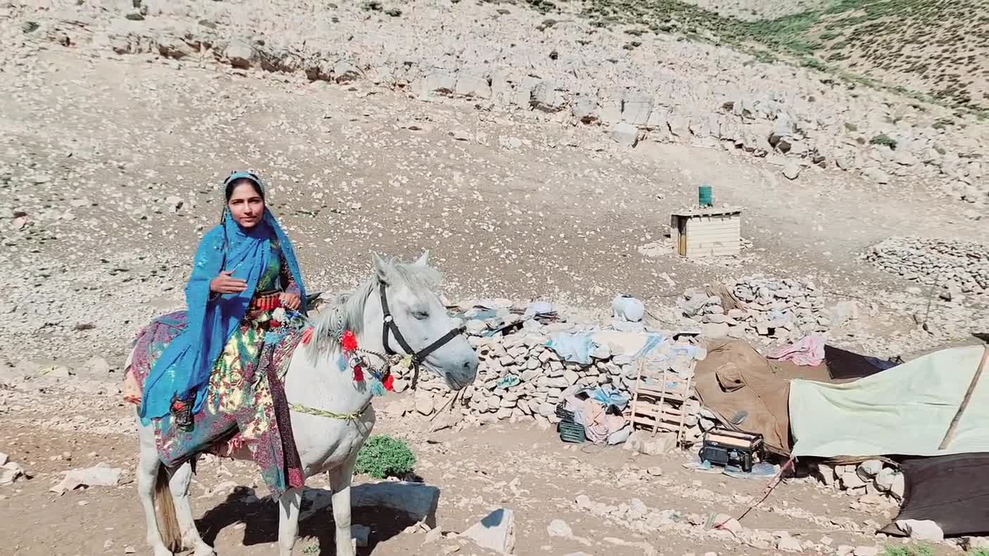 گرگ ها خوب بدانند