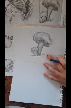 آموزش طراحی قارچ قسمت دوم