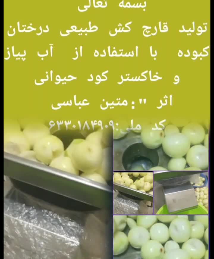 پویش رویانا _ توضیح ایده _ متین عباسی بافطرت