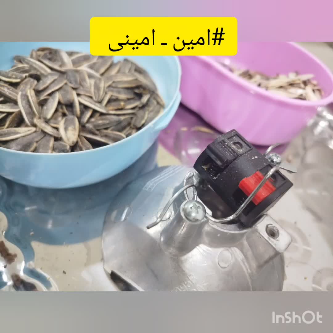 پوست کن تخمه