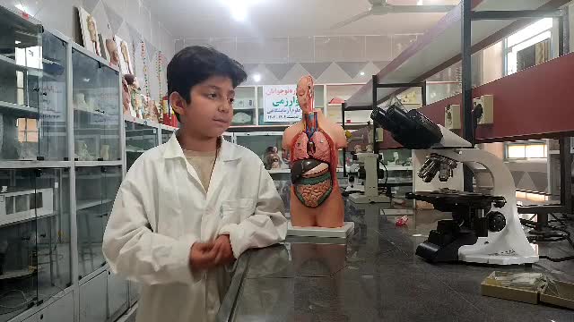 اجزای بدن